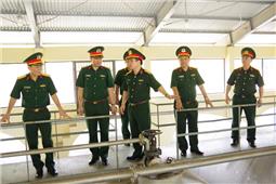 Phát huy truyền thống 70 năm ngành Xăng dầu Quân đội